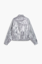 Jacheta reversibila argintie