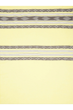 PAREO CU PRINT