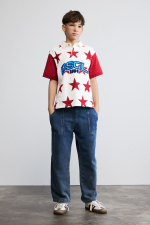 TRICOU POLO CU STELUTE