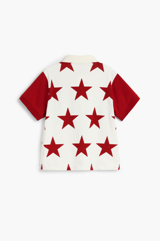 TRICOU POLO CU STELUTE