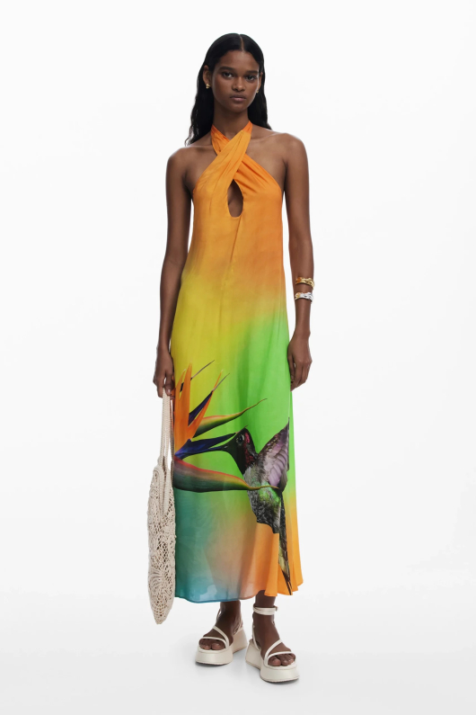 ROCHIE LUNGA DE PLAJA