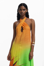 ROCHIE LUNGA DE PLAJA