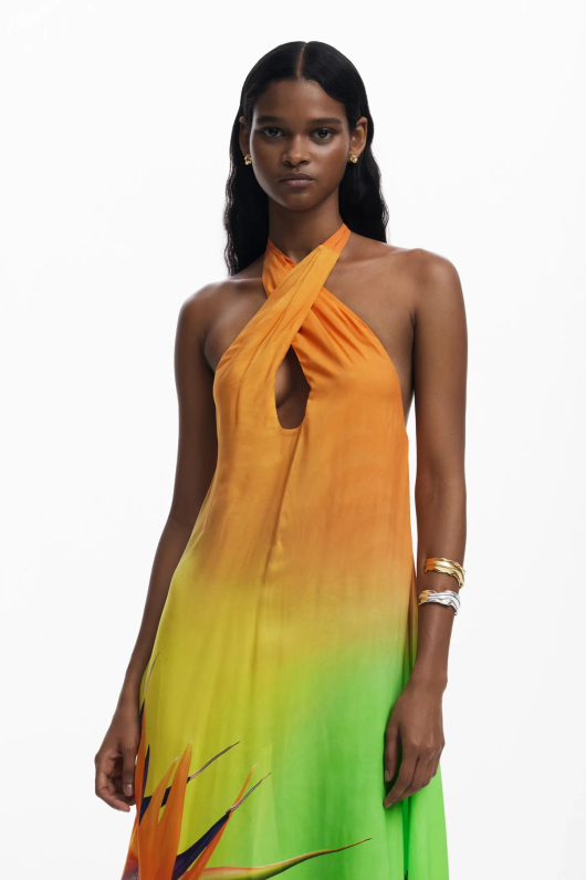 ROCHIE LUNGA DE PLAJA