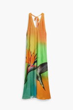 ROCHIE LUNGA DE PLAJA