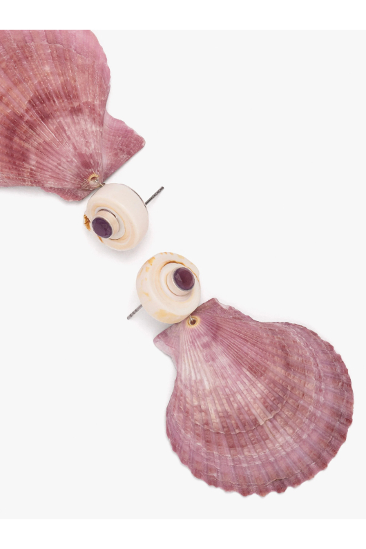 CERCEI SCOICA