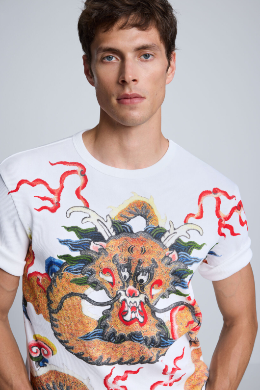 Tricou cu imprimeu Dragon