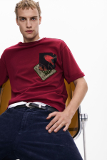 TRICOU VISINIU