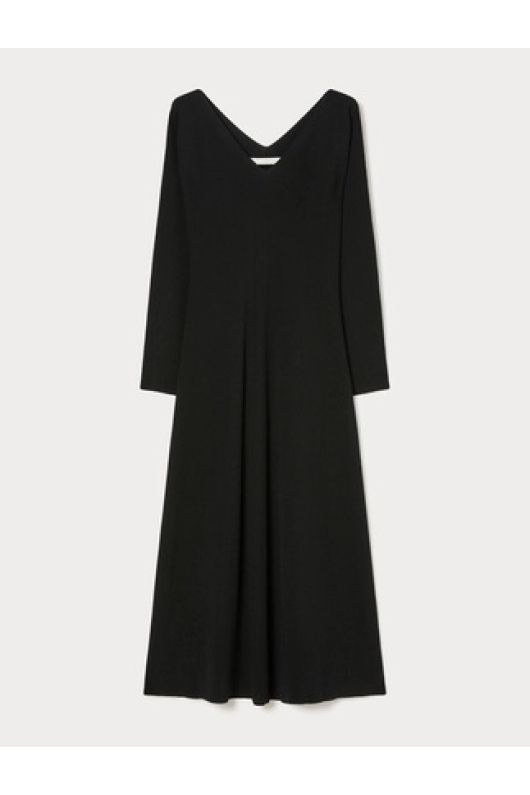 ROCHIE NEAGRA DIN VASCOZA