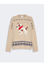 PULOVER BEJ CU PRINT
